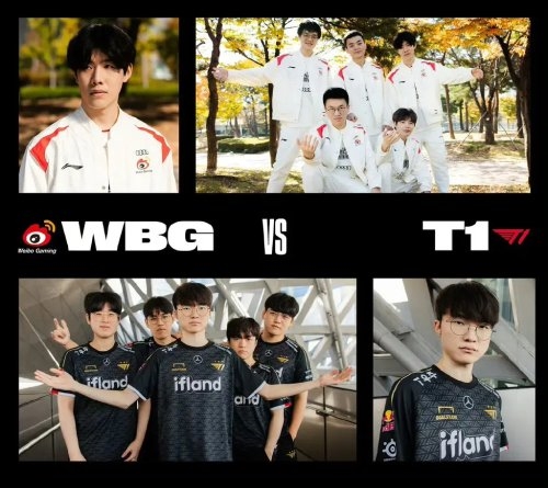 快速的反应 快速的反应