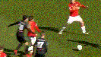 阳光下的运 阳光下的运