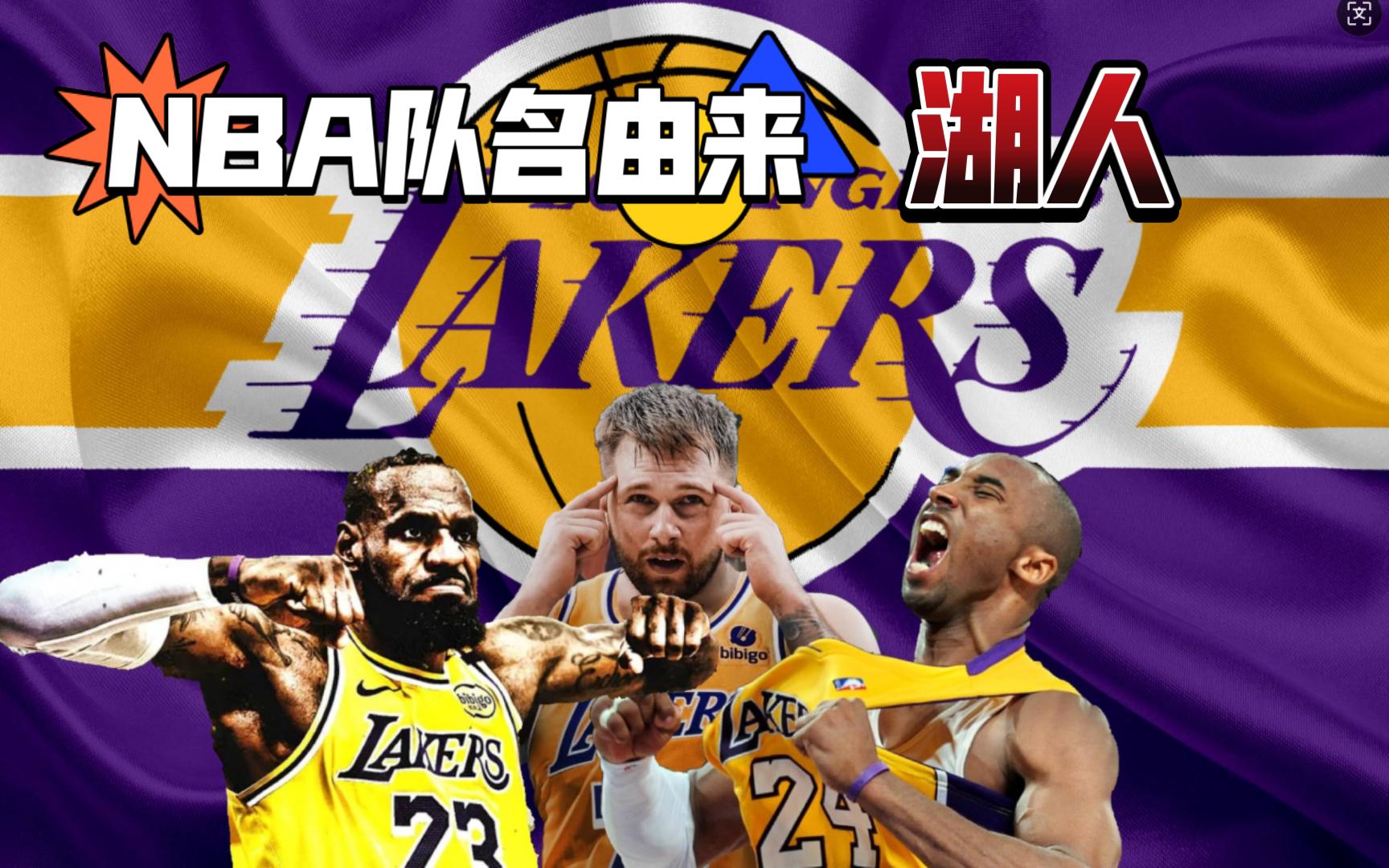 网窝